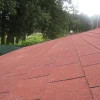 Dakpannen|Brico Aquaplan Dakshingle Easy-Shingle Standaard Rood 2M²