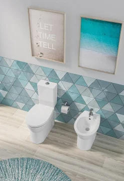 Duoblok Toiletten|Brico Aquavive Duoblok Toilet Cormor I Universele Afvoeri Randloos Toiletpot Wit