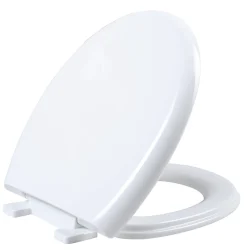Duoblok Toiletten|Brico Aquavive Duoblok Toilet Ippari I Ao Aansluiting I Soft-Close Toiletzitting Wit