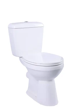 Duoblok Toiletten|Brico Aquavive Duoblok Toilet Ippari I Pk Aansluiting I Soft-Close Toiletzitting Wit