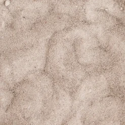 Zand|Brico Biozand 25Kg