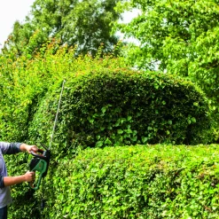 Heggenscharen|Brico Bosch Heggenschaar Advancedhedgecut 65 (Mesafdekking)