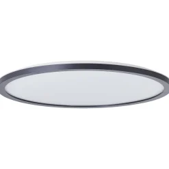 Badkamerverlichting|Brico Brilliant Plafondlamp Brennan Zwart 42Cm Neutraal Wit 24W