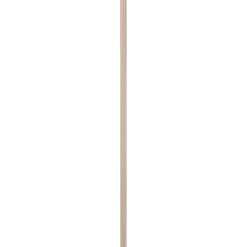 Steigerhout|Brico Cando Steigerhout Onbehandeld Vuren 30X62Mm 250Cm
