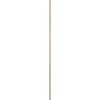 Steigerhout|Brico Cando Steigerhout Vuren 30X62X2500Mm Verouderd