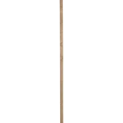 Steigerhout|Brico Cando Steigerhout Vuren 30X62X2500Mm Verouderd