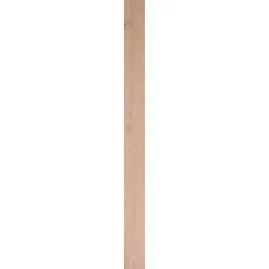 Steigerhout|Brico Cando Steigerhout Vuren 30X195Mm Verouderd 250Cm