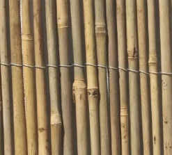 Brico Central Park Balkonscherm Wilg 1,5X5M- Balkonschermen