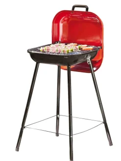 Brico Central Park Barbecue Pic Nic Rood 42X42Cm- Houtskool Barbecue