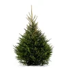 Echte Kerstbomen|Brico Central Park Kerstboom Epicea 125-150Cm