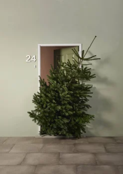 Echte Kerstbomen|Brico Central Park Kerstboom Nordmann 150-175Cm