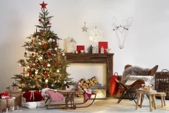 Echte Kerstbomen|Brico Central Park Kerstboom Nordmann 125-150Cm