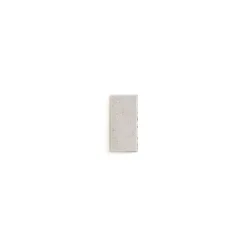 Brico Cobo Garden Betonstraatsteen Grijs Facetrand 22X11X5Cm- Stenen En Klinkers