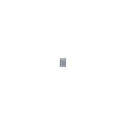 Brico Cobo Garden Klinker Waal In-Line Grijs-Zwart Getrommeld 20X5X6Cm- Stenen En Klinkers