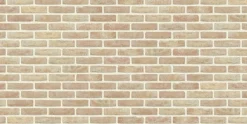 Bouwstenen|Brico Coeck Gevelsteen Anderlecht Mod50 190X90X50Mm