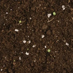 Brico Compo Bio Potgrond Ca. 50% Lichter 40L- Potgrond