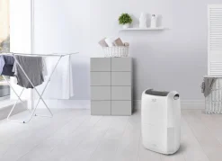 Luchtontvochtigers|Brico De'Longhi Luchtontvochtiger Tasciugo Ariadry Multi Ddsx220 Wit
