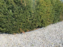 Brico Eco Edge Kantopsluiting Rol - Zwart - 1000 X 14 X 0,7 Cm- Opsluitbanden & Boordstenen