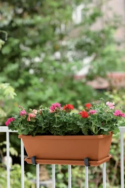 Brico Elho Balkonbak Barcelona 70Cm Terra- Plantenpotten En -Bakken