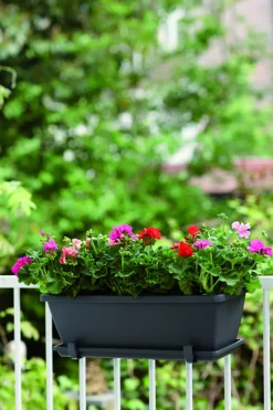 Brico Elho Balkonbak Barcelona 70Cm Antraciet- Plantenpotten En -Bakken