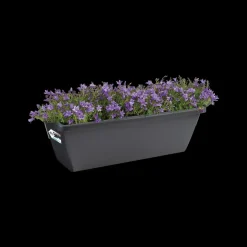 Brico Elho Balkonbak Barcelona 90Cm Antraciet- Plantenpotten En -Bakken