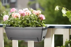 Brico Elho Barcelona All-In-1 O50Cm Antraciet- Plantenpotten En -Bakken