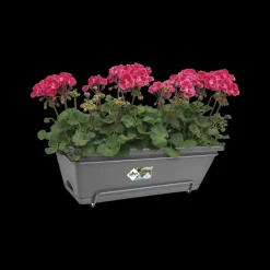 Brico Elho Barcelona All-In-1 O50Cm Antraciet- Plantenpotten En -Bakken