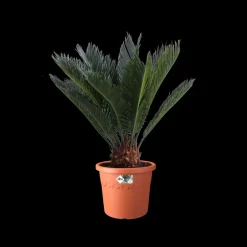Brico Elho Bloempot Algarve Cilindro Rond O35Cm Terra- Plantenpotten En -Bakken
