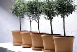 Brico Elho Bloempot Algarve Cilindro Rond Wielen O40Cm Terra- Plantenpotten En -Bakken