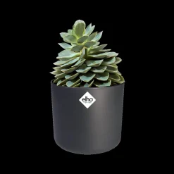 Brico Elho Bloempot B.For Soft Rond O30Cm Antraciet- Plantenpotten En -Bakken
