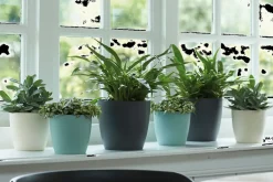 Brico Elho Bloempot Brussels Rond O16Cm Antraciet- Plantenpotten En -Bakken