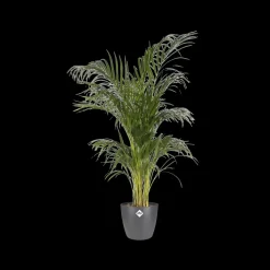 Brico Elho Bloempot Brussels Rond O16Cm Antraciet- Plantenpotten En -Bakken