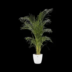 Brico Elho Bloempot Brussels Rond O25Cm Wit- Plantenpotten En -Bakken