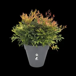 Brico Elho Bloempot Loft Urban Rond Wielen O40Cm Antraciet- Plantenpotten En -Bakken