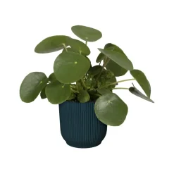 Brico Elho Bloempot Vibes Fold Rond O22Cm Deep Blue- Plantenpotten En -Bakken