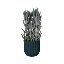 Brico Elho Bloempot Vibes Fold Rond O22Cm Deep Blue- Plantenpotten En -Bakken