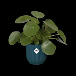 Brico Elho Bloempot Vibes Fold Rond O22Cm Deep Blue- Plantenpotten En -Bakken