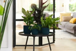 Brico Elho Bloempot Vibes Fold Rond O22Cm Deep Blue- Plantenpotten En -Bakken
