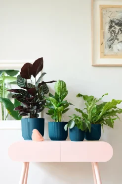 Brico Elho Bloempot Vibes Fold Rond O22Cm Deep Blue- Plantenpotten En -Bakken