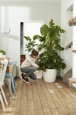 Brico Elho Brussels Rond Wielen O47Cm Wit- Plantenpotten En -Bakken