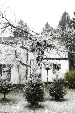 Kerstboomvoeten|Brico Elho Kerstboomvoet Nordman Groen 39Cm