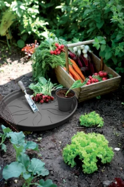 Brico Elho Schotel Green Basics O14Cm Zwart- Plantenpotten En -Bakken