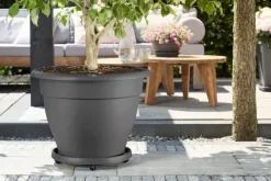 Brico Elho Universele Planttaxi 40Cm Antraciet- Plantenpotten En -Bakken