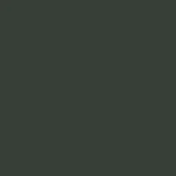 Brico Elle Vliesbehang Velvet Uni Groen- Vliesbehang
