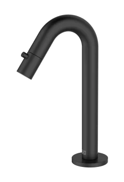Fonteinkranen|Brico Essebagno Fonteinkraan Indus Zwart