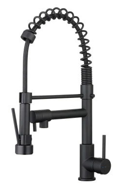 Keukenkranen|Brico Essebagno Keukenkraan Big Pro Met Uittrekbare Handdouche Zwart