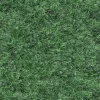 Brico Grastapijt 400X100Cm- Kunstgras