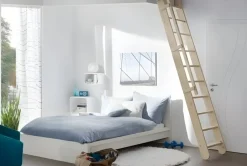 Brico Handystairs Uitschuifbare Steektrap "Montreal" - Hoogte 300Cm - 12 Treden Van Grenen - Met Leuning- Zoldertrappen