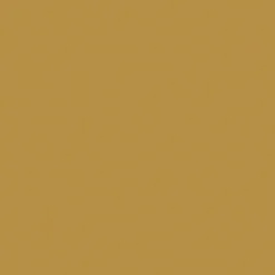 Brico Id Metaalverf Pur Metal Goud 2L- Muurverf