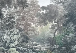 Brico Komar Fotobehang Fairytale Forest 400X280Cm- Fotobehang